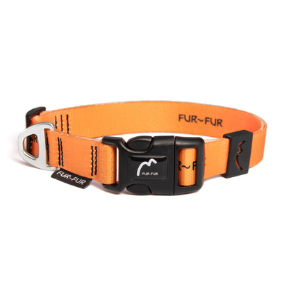 Adjustable dog collar - ORANGE