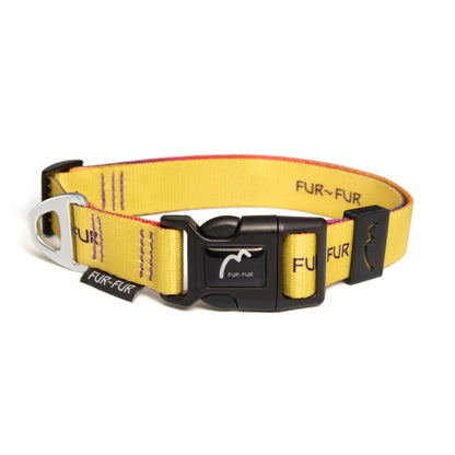 Adjustable Dog Collar - YELLOW