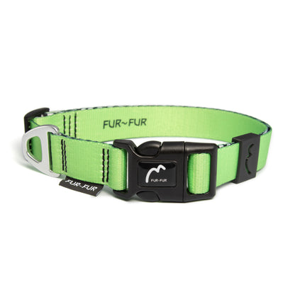 Adjustable Dog Collar - GREEN