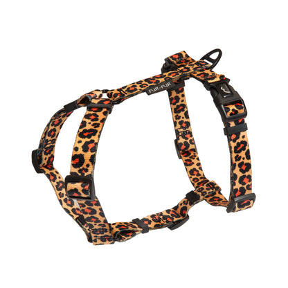 Stylish anatomical harness for dogs - LEOPARD