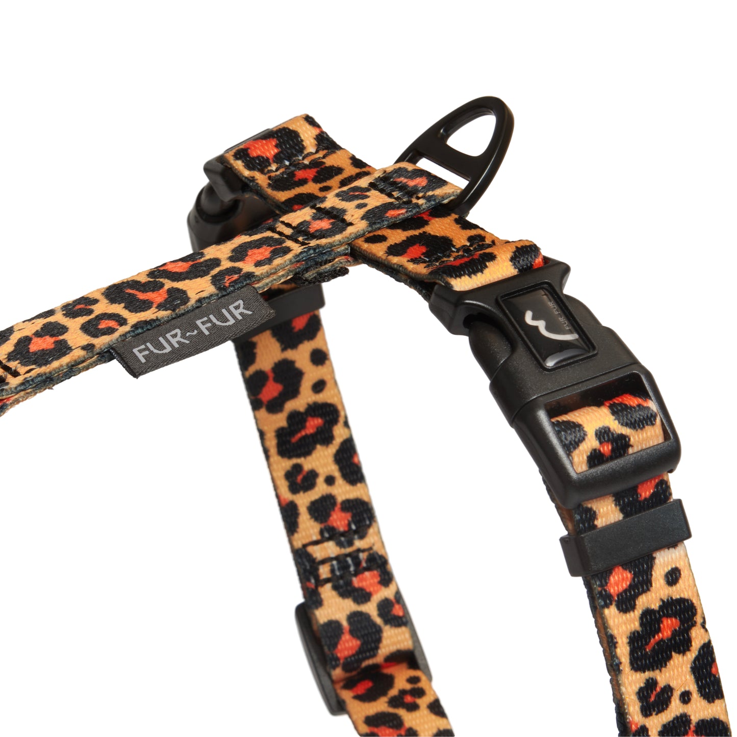 Stylish anatomical harness for dogs - LEOPARD