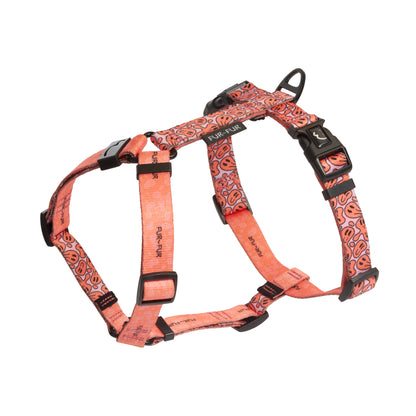 Stylish anatomical dog harness - SMILE