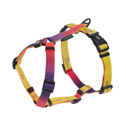 Stylish anatomical dog harness - SUNSET / YELLOW