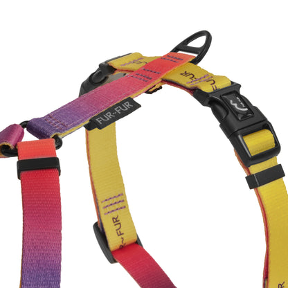 Stylish anatomical dog harness - SUNSET / YELLOW