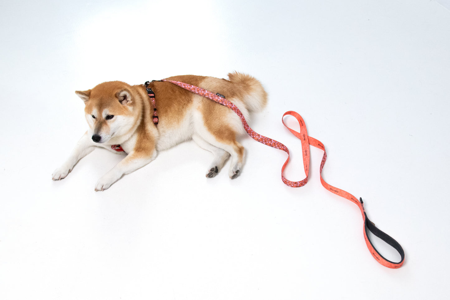 "Soft" leash with soft handle - SMILE