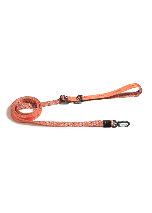 Adjustable length leash for dogs - SMILE