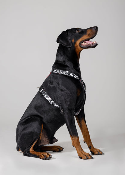 Stylish anatomical harness for dogs - ZEBRA