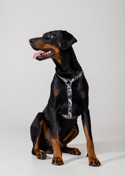 Stylish anatomical harness for dogs - ZEBRA