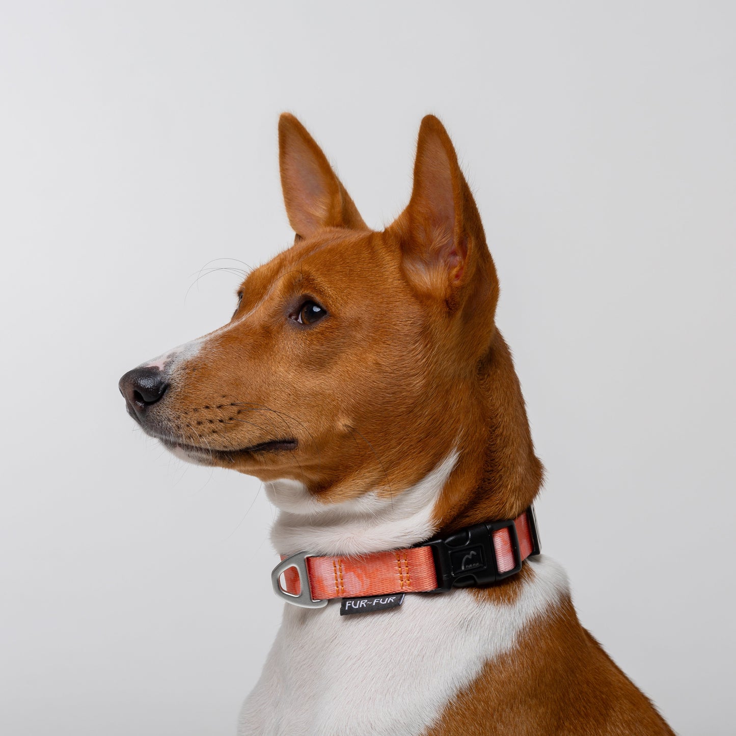 TIE-DYE ORANGE Adjustable Dog Collar