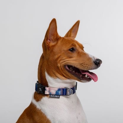 Adjustable Dog Collar TIE-DYE BLUE