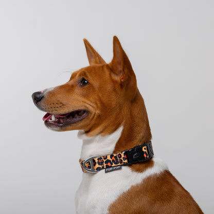 Adjustable Dog Collar - LEOPARD