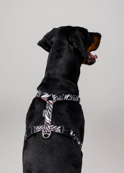 Stylish anatomical harness for dogs - ZEBRA