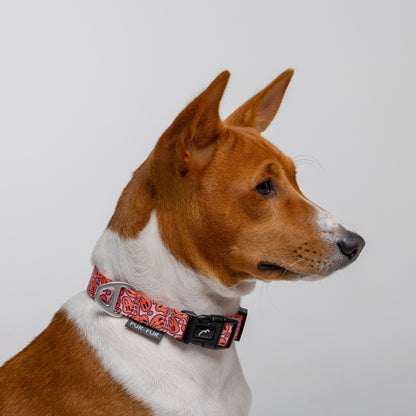 Adjustable dog collar - SMILE