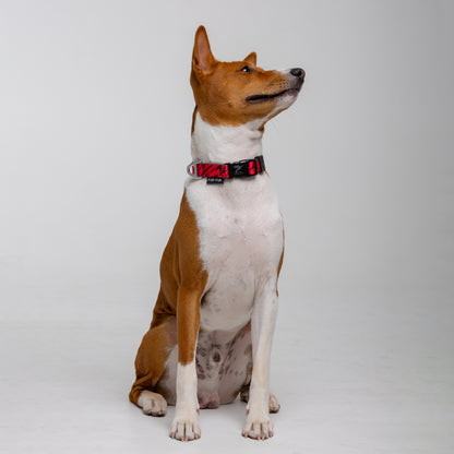 Adjustable dog collar - RED TIGER