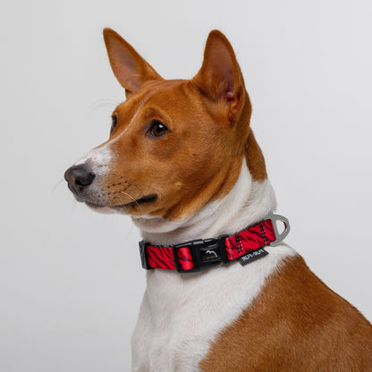 Adjustable dog collar - RED TIGER