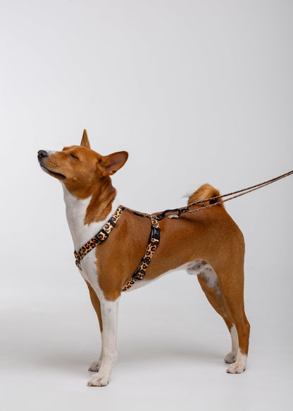 Stylish anatomical harness for dogs - LEOPARD