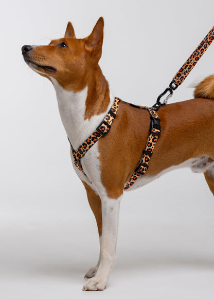 Stylish anatomical harness for dogs - LEOPARD