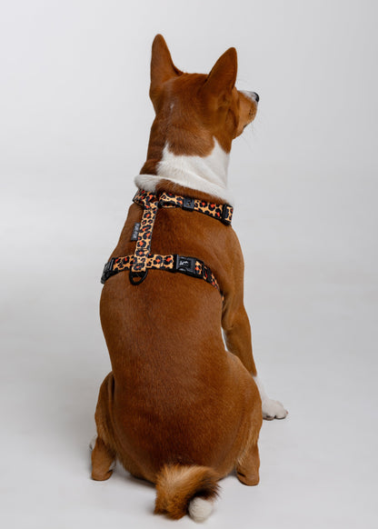 Stylish anatomical harness for dogs - LEOPARD