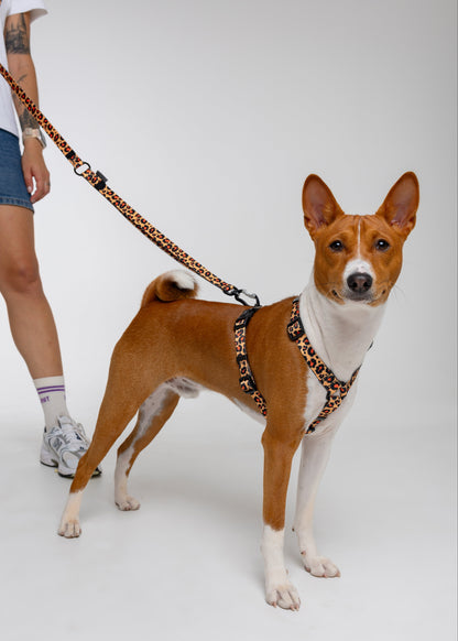 Stylish anatomical harness for dogs - LEOPARD