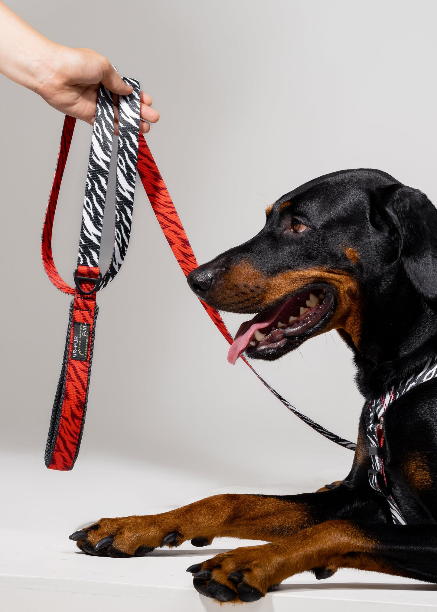 "Soft" leash with soft handle - ZEBRA