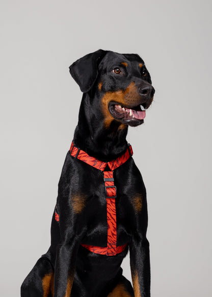 Stylish anatomical dog harness - RED TIGER