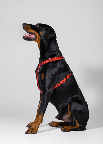 Stylish anatomical dog harness - RED TIGER