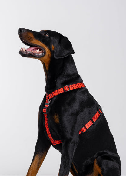 Stylish anatomical dog harness - RED TIGER