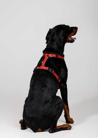 Stylish anatomical dog harness - RED TIGER