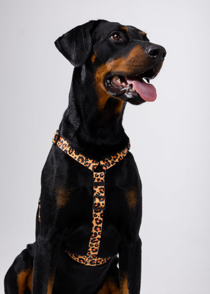 Stylish anatomical harness for dogs - LEOPARD