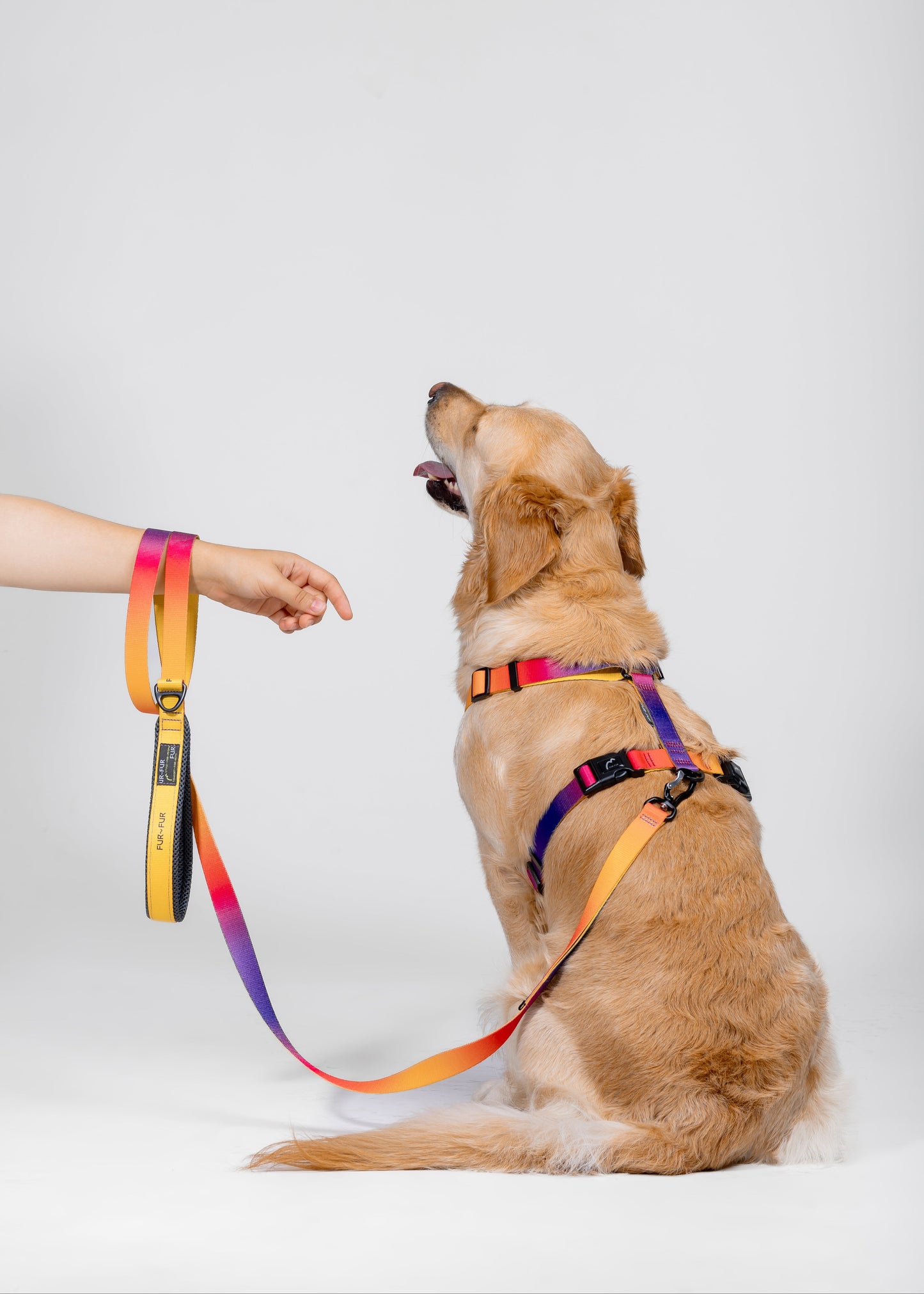 Soft handle leash - SUNSET / YELLOW