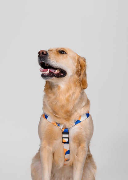 Stylish anatomical dog harness - GEOMETRY