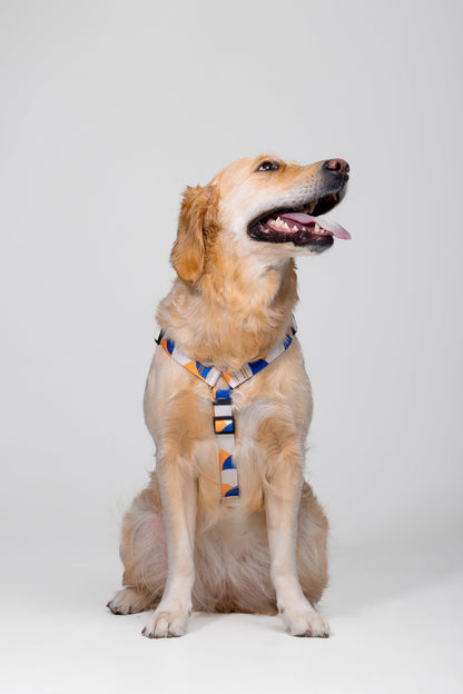 Stylish anatomical dog harness - GEOMETRY