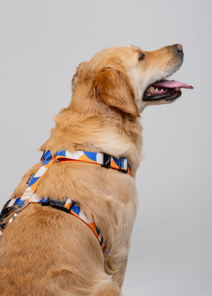 Stylish anatomical dog harness - GEOMETRY