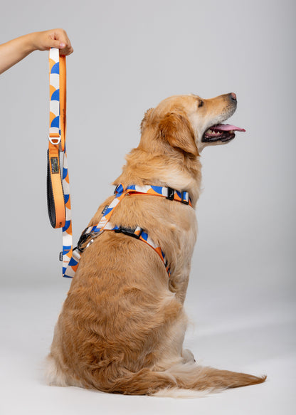 Soft handle leash - GEOMETRY / ORANGE