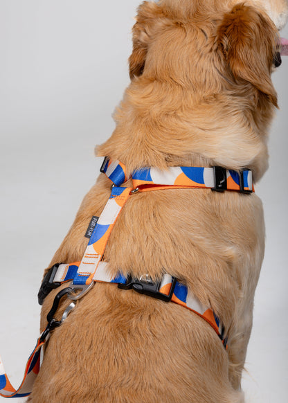 Soft handle leash - GEOMETRY / ORANGE