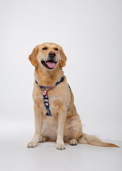 Stylish anatomical dog harness TIE-DYE BLUE