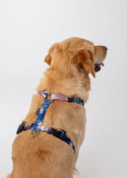 Stylish anatomical dog harness TIE-DYE BLUE