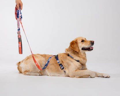 Soft handle leash ORANGE/BLUE TIE-DYE