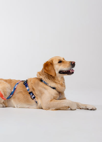 Stylish anatomical dog harness TIE-DYE BLUE