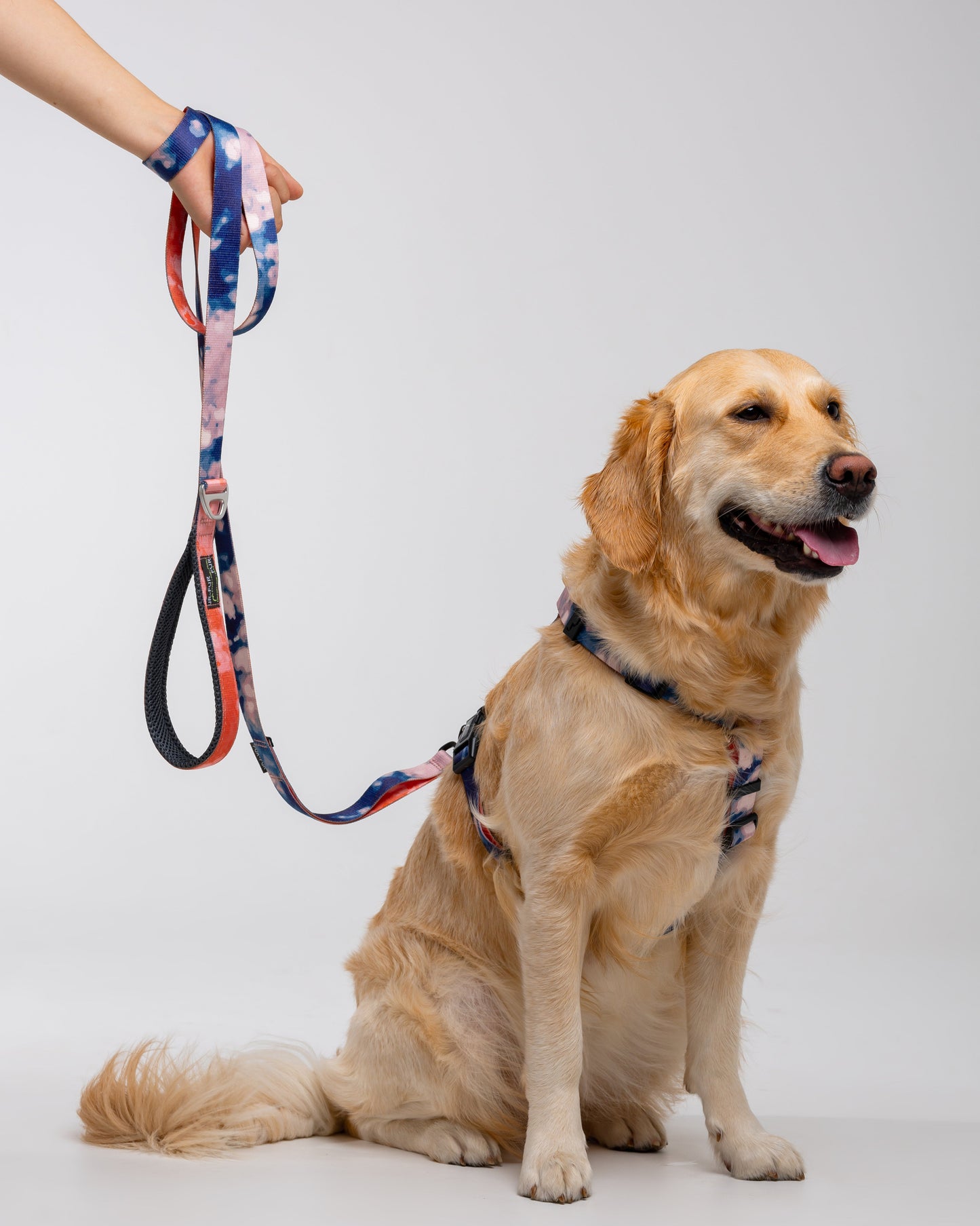 Stylish anatomical dog harness TIE-DYE BLUE