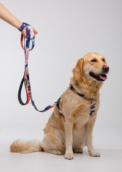 Soft handle leash ORANGE/BLUE TIE-DYE