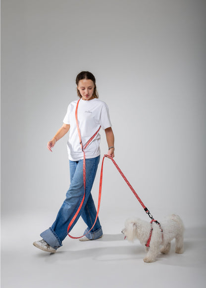 Adjustable length leash for dogs - SMILE