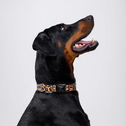 Adjustable Dog Collar - LEOPARD