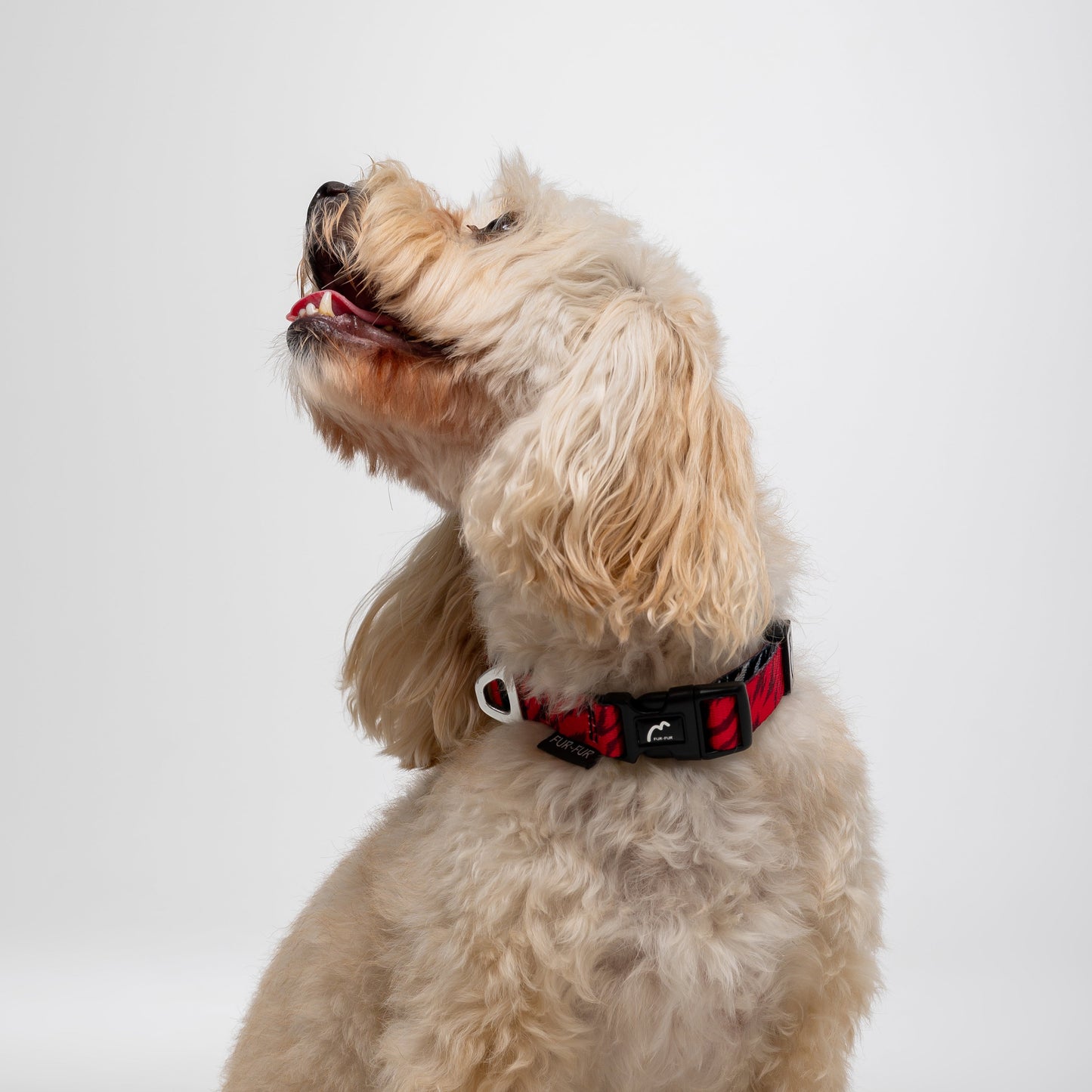 Adjustable dog collar - RED TIGER