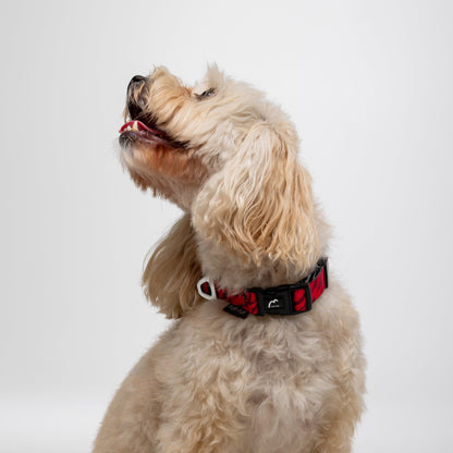 Adjustable dog collar - RED TIGER