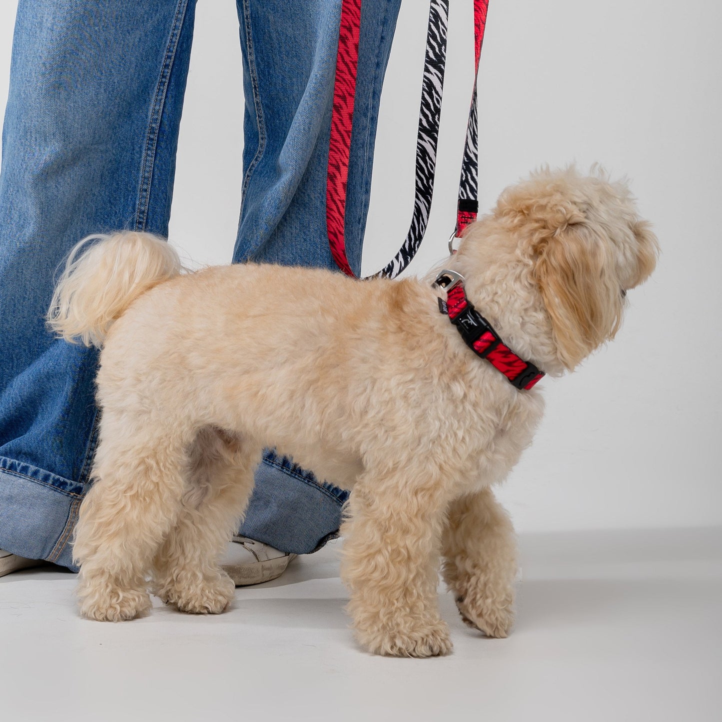 Adjustable dog collar - RED TIGER