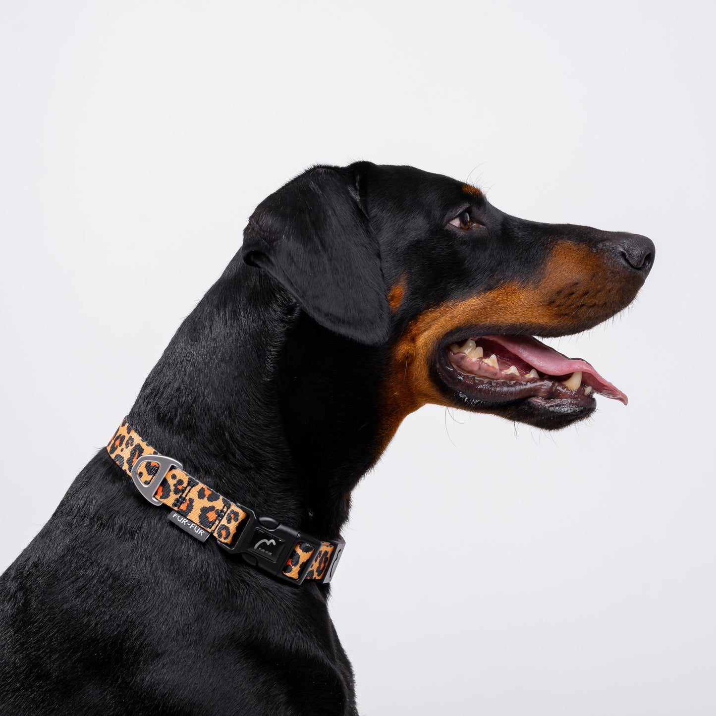 Adjustable Dog Collar - LEOPARD