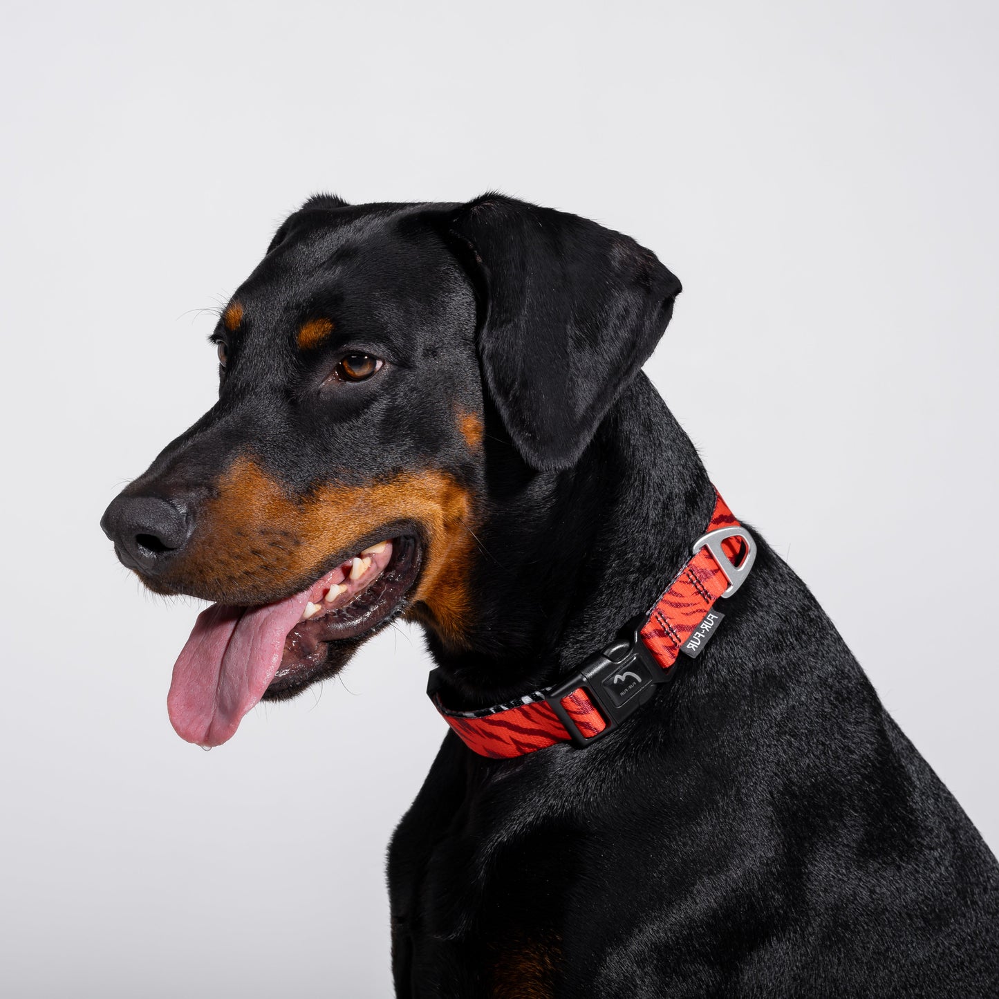 Adjustable dog collar - RED TIGER