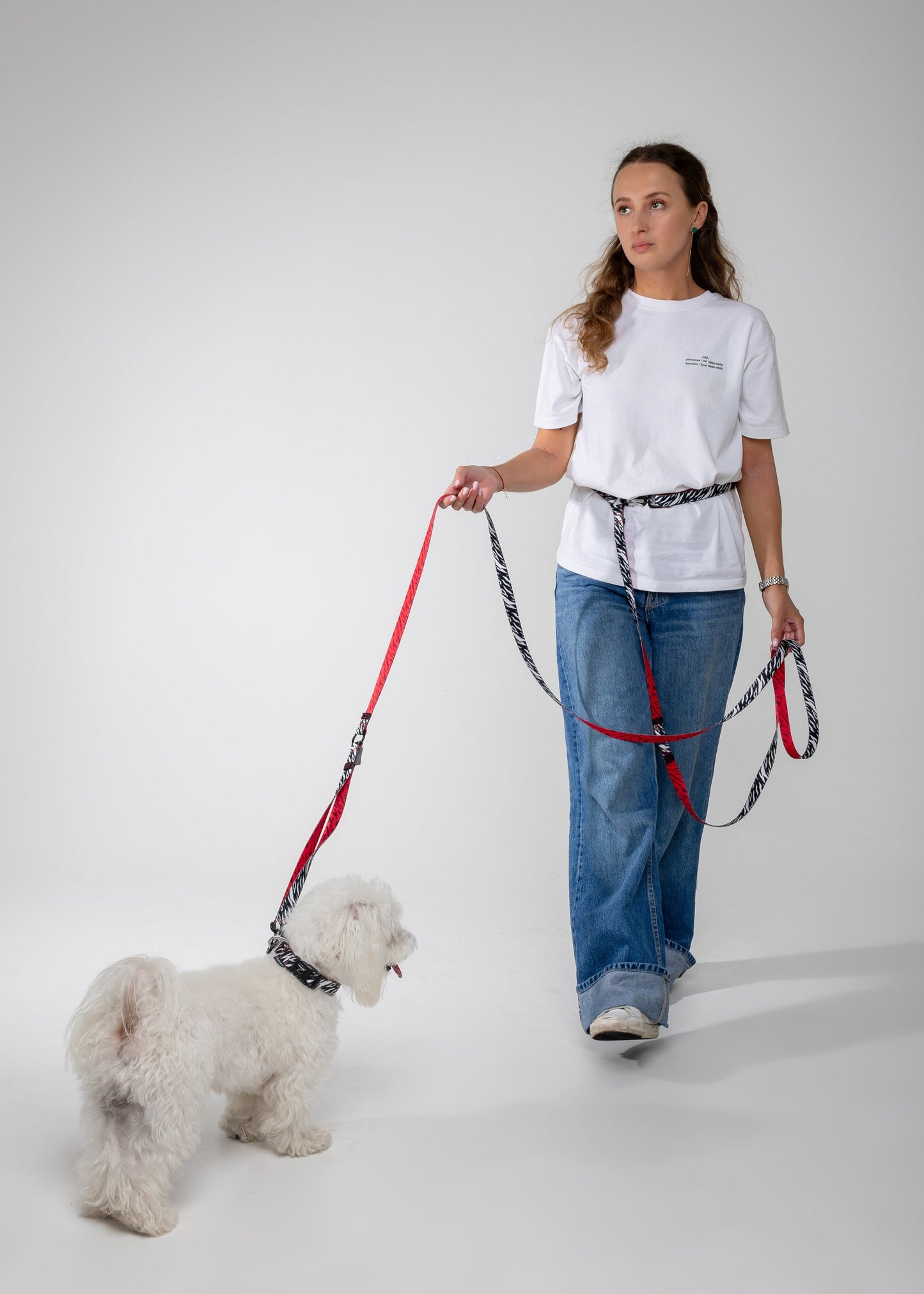 Adjustable Hands Free Dog Leash - ZEBRA