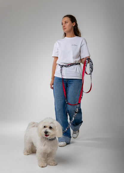 Adjustable Hands Free Dog Leash - ZEBRA